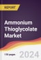 Ammonium Thioglycolate Market Report: Trends, Forecast and Competitive Analysis to 2030 - Product Thumbnail Image