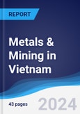 Metals & Mining in Vietnam- Product Image