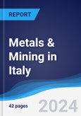 Metals & Mining in Italy- Product Image