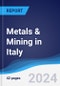 Metals & Mining in Italy - Product Image