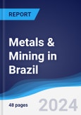 Metals & Mining in Brazil- Product Image