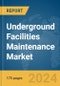 Underground Facilities Maintenance Market Report 2024 - Product Thumbnail Image