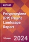 Polypropylene (PP) Patent Landscape Report - Product Image