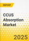 CCUS Absorption Market - A Global and Regional Analysis: Focus on End Use Industry, Type, and Country Level Analysis - Analysis and Forecast, 2024-2034 - Product Image