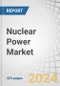 Nuclear Power Market by Plant Lifecycle Stage, Type, Application, Connectivity, Capacity, and Region - Global Forecast to 2029 - Product Thumbnail Image