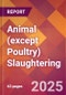 Animal (except Poultry) Slaughtering - 2025 U.S. Market Research Report with Updated Analysis & Forecasts - Product Image