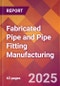 Fabricated Pipe and Pipe Fitting Manufacturing - 2025 U.S. Market Research Report with Updated Analysis & Forecasts - Product Image