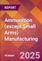 Ammunition (except Small Arms) Manufacturing - 2025 U.S. Market Research Report with Updated Analysis & Forecasts - Product Thumbnail Image