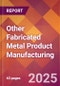 Other Fabricated Metal Product Manufacturing - 2025 U.S. Market Research Report with Updated Analysis & Forecasts - Product Image