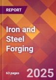 Iron and Steel Forging - 2025 U.S. Market Research Report with Updated Analysis & Forecasts- Product Image