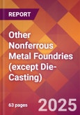 Other Nonferrous Metal Foundries (except Die-Casting) - 2025 U.S. Market Research Report with Updated Analysis & Forecasts- Product Image