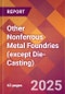 Other Nonferrous Metal Foundries (except Die-Casting) - 2025 U.S. Market Research Report with Updated Analysis & Forecasts - Product Thumbnail Image