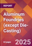 Aluminum Foundries (except Die-Casting) - 2025 U.S. Market Research Report with Updated Analysis & Forecasts- Product Image