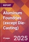 Aluminum Foundries (except Die-Casting) - 2025 U.S. Market Research Report with Updated Analysis & Forecasts - Product Image