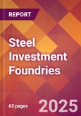 Steel Investment Foundries - 2025 U.S. Market Research Report with Updated Analysis & Forecasts- Product Image