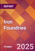 Iron Foundries - 2025 U.S. Market Research Report with Updated Analysis & Forecasts- Product Image