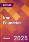 Iron Foundries - 2025 U.S. Market Research Report with Updated Analysis & Forecasts - Product Thumbnail Image