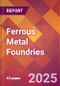 Ferrous Metal Foundries - 2025 U.S. Market Research Report with Updated Analysis & Forecasts - Product Thumbnail Image