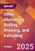 Other Aluminum Rolling, Drawing, and Extruding - 2025 U.S. Market Research Report with Updated Analysis & Forecasts- Product Image