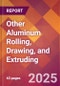 Other Aluminum Rolling, Drawing, and Extruding - 2025 U.S. Market Research Report with Updated Analysis & Forecasts - Product Thumbnail Image