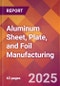 Aluminum Sheet, Plate, and Foil Manufacturing - 2025 U.S. Market Research Report with Updated Analysis & Forecasts - Product Thumbnail Image