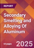 Secondary Smelting and Alloying Of Aluminum - 2025 U.S. Market Research Report with Updated Analysis & Forecasts- Product Image