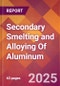 Secondary Smelting and Alloying Of Aluminum - 2025 U.S. Market Research Report with Updated Analysis & Forecasts - Product Thumbnail Image