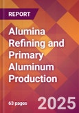 Alumina Refining and Primary Aluminum Production - 2025 U.S. Market Research Report with Updated Analysis & Forecasts- Product Image