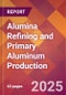 Alumina Refining and Primary Aluminum Production - 2025 U.S. Market Research Report with Updated Analysis & Forecasts - Product Thumbnail Image