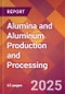 Alumina and Aluminum Production and Processing - 2025 U.S. Market Research Report with Updated Analysis & Forecasts - Product Image