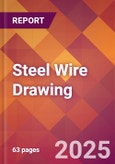 Steel Wire Drawing - 2025 U.S. Market Research Report with Updated Analysis & Forecasts- Product Image