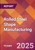 Rolled Steel Shape Manufacturing - 2025 U.S. Market Research Report with Updated Analysis & Forecasts- Product Image