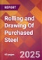 Rolling and Drawing Of Purchased Steel - 2025 U.S. Market Research Report with Updated Analysis & Forecasts - Product Thumbnail Image