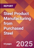 Steel Product Manufacturing from Purchased Steel - 2025 U.S. Market Research Report with Updated Analysis & Forecasts- Product Image