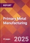 Primary Metal Manufacturing - 2025 U.S. Market Research Report with Updated Analysis & Forecasts - Product Thumbnail Image