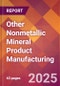 Other Nonmetallic Mineral Product Manufacturing - 2025 U.S. Market Research Report with Updated Analysis & Forecasts - Product Image