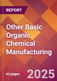 Other Basic Organic Chemical Manufacturing - 2025 U.S. Market Research Report with Updated Analysis & Forecasts- Product Image