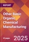 Other Basic Organic Chemical Manufacturing - 2025 U.S. Market Research Report with Updated Analysis & Forecasts - Product Image