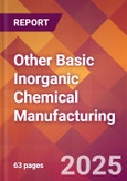 Other Basic Inorganic Chemical Manufacturing - 2025 U.S. Market Research Report with Updated Analysis & Forecasts- Product Image