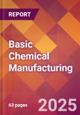 Basic Chemical Manufacturing - 2025 U.S. Market Research Report with Updated Analysis & Forecasts- Product Image