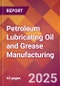 Petroleum Lubricating Oil and Grease Manufacturing - 2025 U.S. Market Research Report with Updated Analysis & Forecasts - Product Image