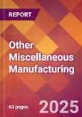 Other Miscellaneous Manufacturing - 2025 U.S. Market Research Report with Updated Analysis & Forecasts- Product Image