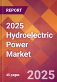 2025 Hydroelectric Power Global Market Size & Growth Report with Updated Analysis & Forecasts- Product Image