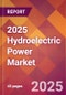 2025 Hydroelectric Power Global Market Size & Growth Report with Updated Analysis & Forecasts - Product Thumbnail Image