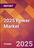 2025 Power Global Market Size & Growth Report with Updated Analysis & Forecasts- Product Image