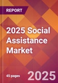 2025 Social Assistance Global Market Size & Growth Report with Updated Analysis & Forecasts- Product Image