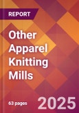 Other Apparel Knitting Mills - 2025 U.S. Market Research Report with Updated Analysis & Forecasts- Product Image