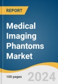 Medical Imaging Phantoms Market Size, Share & Trends Analysis Report By Product, By Application, By End-use, By Region, And Segment Forecasts, 2025 - 2030- Product Image