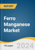 Ferro Manganese Market Size, Share & Trends Analysis Report By Grade, By Application, By Region, And Segment Forecasts, 2025 - 2030- Product Image