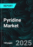 Pyridine Market Global Forecast Report by Type, Application, End Use, Countries and Company Analysis 2025-2033- Product Image